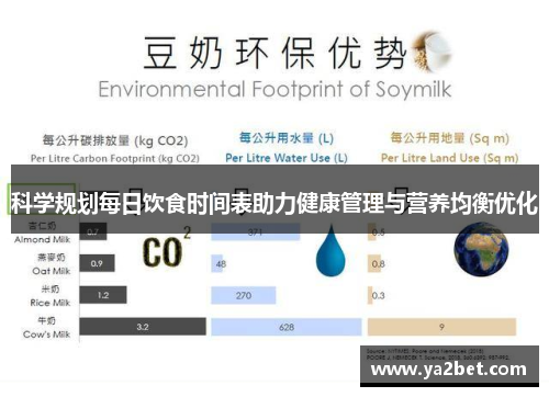 科学规划每日饮食时间表助力健康管理与营养均衡优化